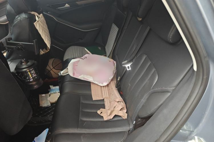 Used Ford Territory 2020 Lingjie S EcoBoost 145 CVT 48V Zunling Type PLUS Left Rear Seat