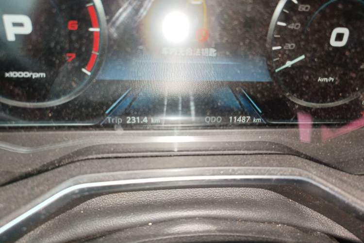 Used Ford Territory 2020 Lingjie S EcoBoost 145 CVT 48V Zunling Type PLUS Odometer Close Up