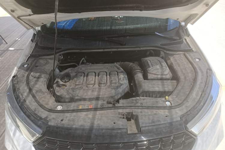 Used Ford Territory 2020 Lingjie S EcoBoost 145 CVT Platinum Edition Engine Bay