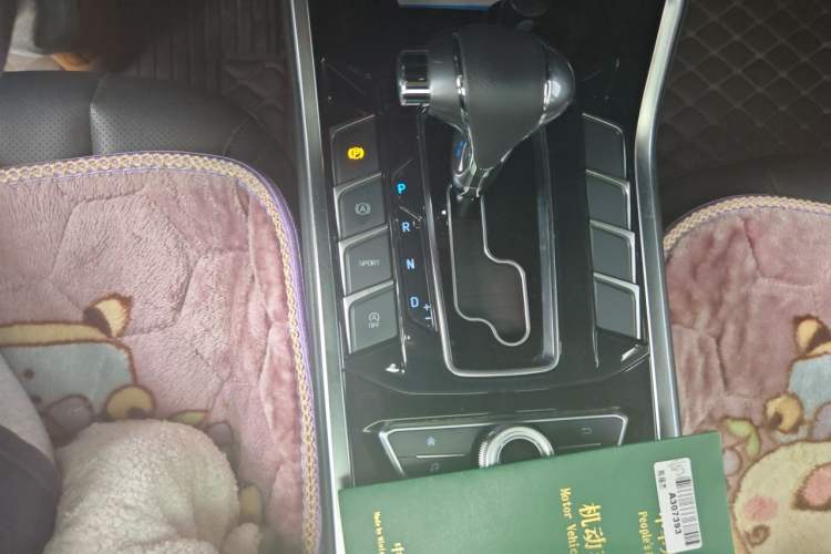 Used Ford Territory 2020 Lingjie S EcoBoost 145 CVT Platinum Edition Gear Lever