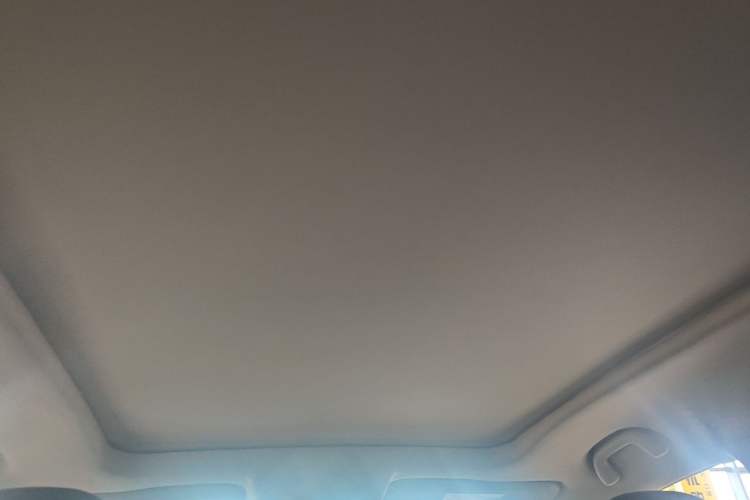 Used Ford Territory 2020 Lingjie S EcoBoost 145 CVT Zunling Edition Headliner