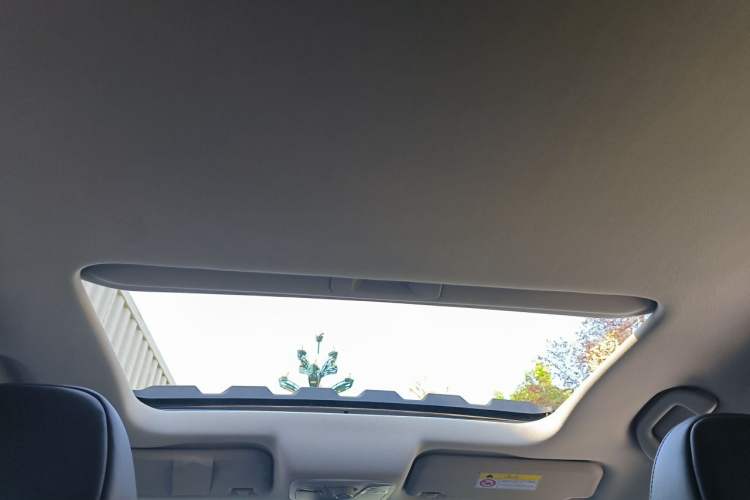 Used Ford Territory 2020 Lingjie S EcoBoost 145 CVT Platinum Edition Headliner