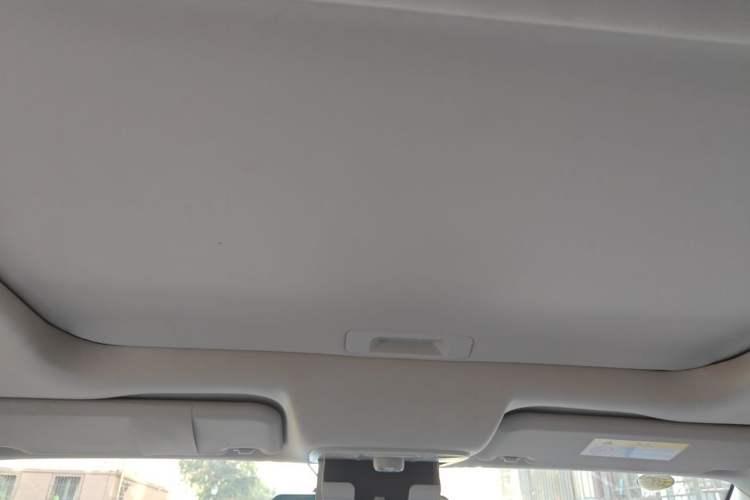 Used Ford Territory 2020 Lingjie S EcoBoost 145 CVT Platinum Edition Headliner