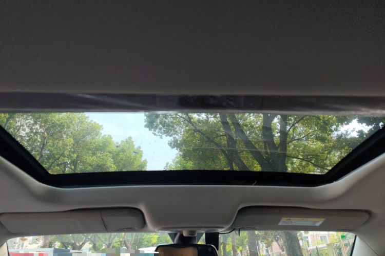 Used Ford Territory 2020 Lingjie S EcoBoost 145 CVT Platinum Edition Headliner