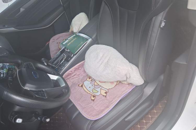 Used Ford Territory 2020 Lingjie S EcoBoost 145 CVT Platinum Edition Left Front Seat