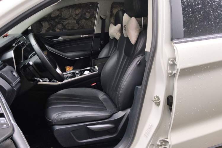 Used Ford Territory 2020 Lingjie S EcoBoost 145 CVT Platinum Edition Left Front Seat