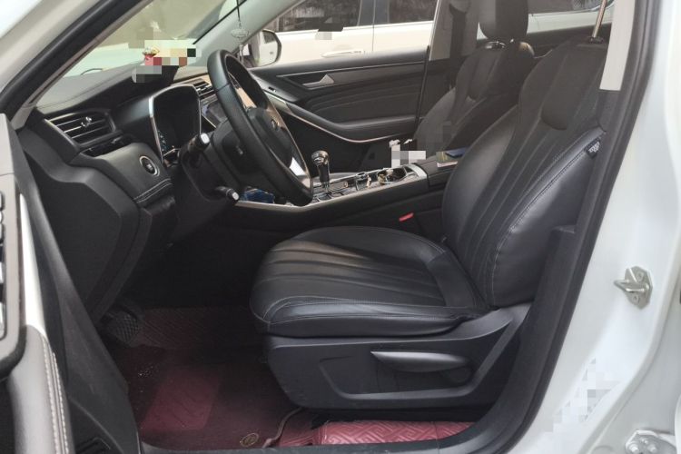 Used Ford Territory 2020 Lingjie S EcoBoost 145 CVT Platinum Edition Left Front Seat