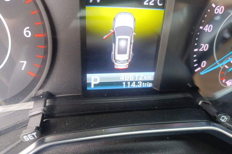 Used Ford Territory 2020 Lingjie S EcoBoost 145 CVT Elite Model Odometer Close Up
