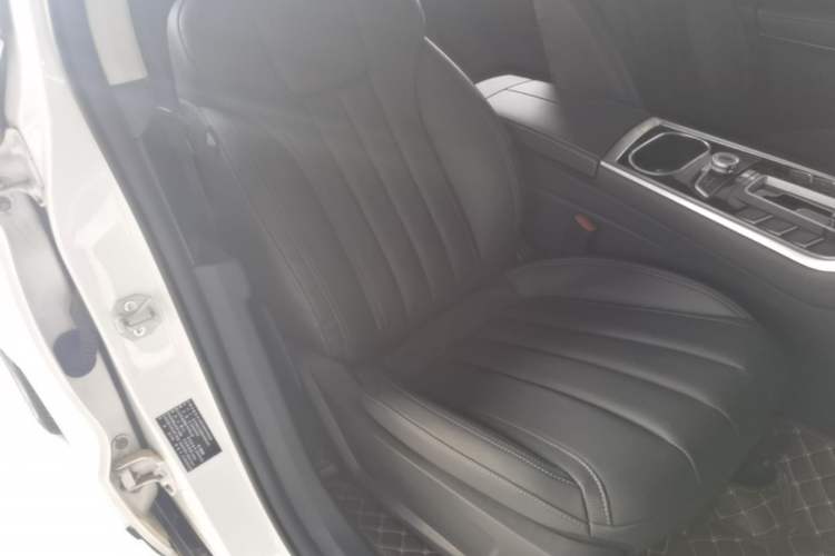 Used Ford Territory 2020 Lingjie S EcoBoost 145 CVT Platinum Edition Right Front Seat