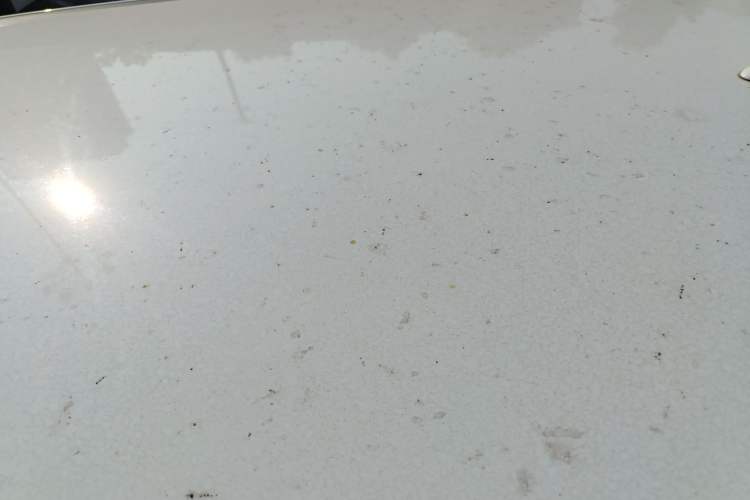 Used Ford Territory 2020 Lingjie S EcoBoost 145 CVT Elite Model Roof