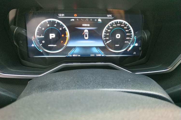 Used Ford Territory 2021 Lingjie S EcoBoost 145 CVT Smart Hybrid Model Odometer Close Up