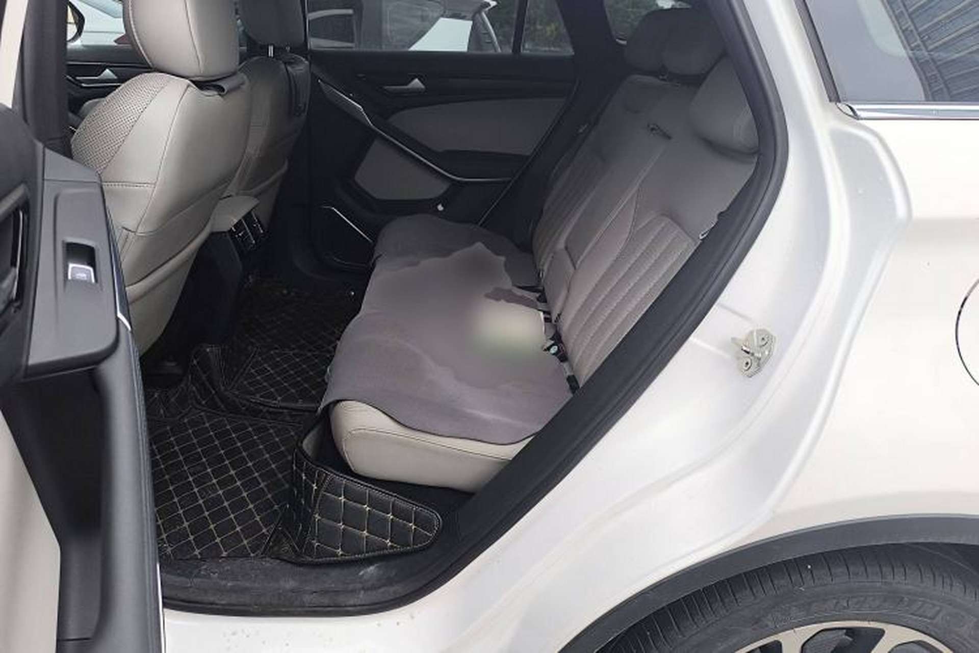 Used Ford Territory EV 2020 YAO LING Model Left Rear Seat