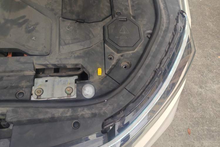 Used Ford Territory EV 2020 YAO LING Model Engine Bay Left