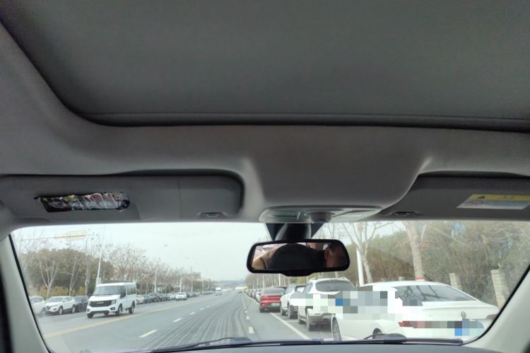 Used Ford Territory EV 2020 Quiet Luxury Edition Headliner