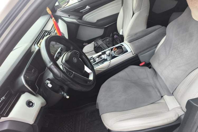 Used Ford Territory EV 2020 YAO LING Model Left Front Seat