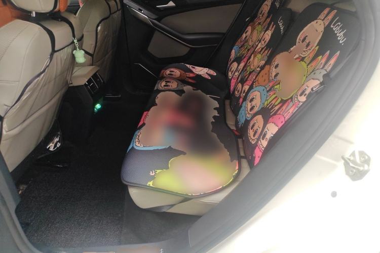 Used Ford Territory EV 2020 YAO LING Model Left Rear Seat
