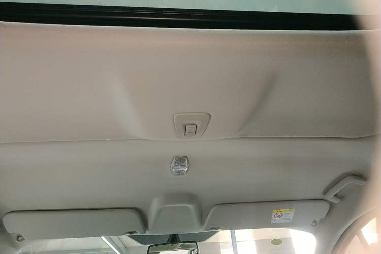 Used Ford Tourneo Custom 2020 2.0T Automatic Elite Edition China VI Standard Headliner