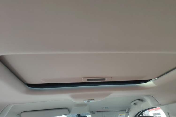 Used Ford Tourneo Custom 2020 2.0T Automatic Elite Version China VI Standard Headliner