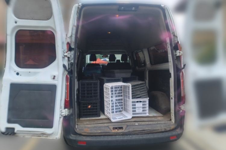 Used Ford Transit  Trunk