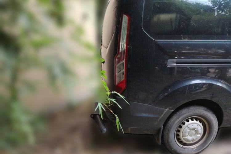 Used Ford Transit 2019 2.0T Diesel Multi-Purpose Commercial Vehicle Mid-Drive Mid-Roof 6-Seater China VI Standard Rear