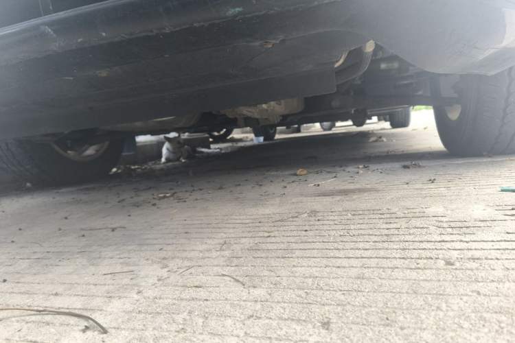 Used Ford Transit  Chassis Front