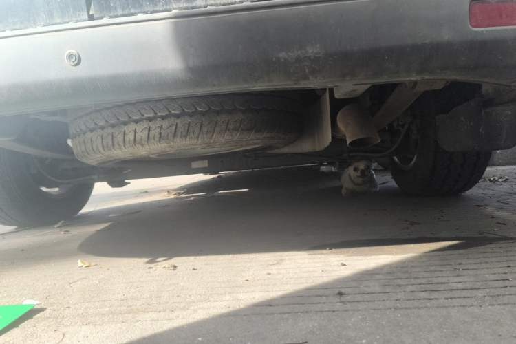 Used Ford Transit  Chassis Rear