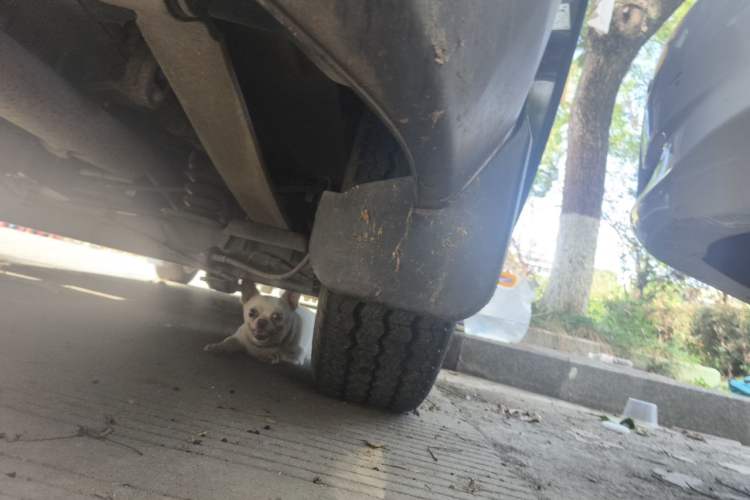 Used Ford Transit  Chassis Rear Right