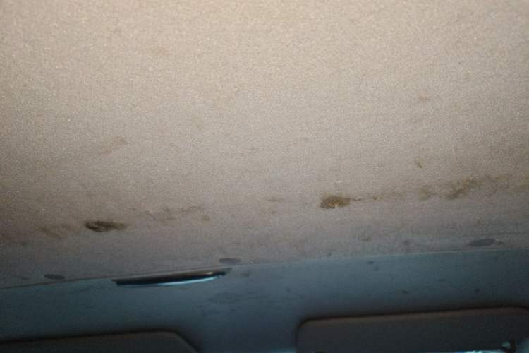 Used Ford Transit  Headliner