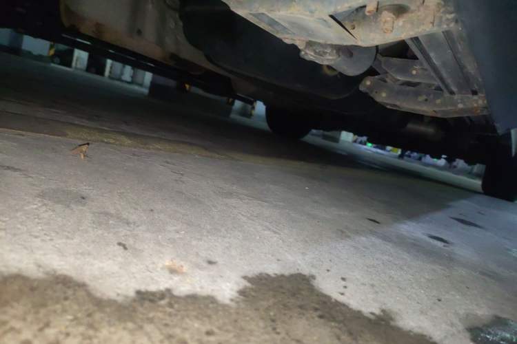 Used Ford Transit 2020 2.0T Gasoline Automatic Multi-Function Commercial Vehicle Mid-Drive Low-Roof Lift-Up Tailgate China VI Standard Chassis Front Left