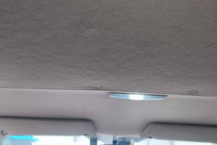 Used Ford Transit 2020 2.0T Diesel Multi-Function Commercial Vehicle Mid-Chassis Low-Roof Design with Dual Rear Doors Meeting China VI Emission Standards Headliner