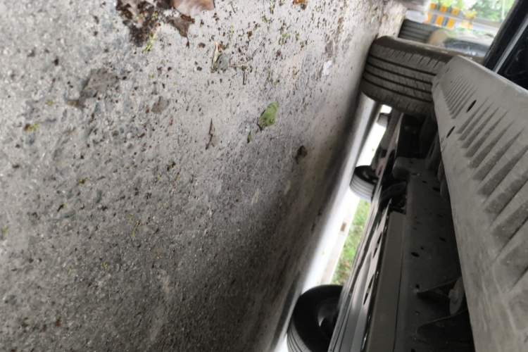 Used Formula Leopard 5 2023 Explore Edition Chassis Rear Left