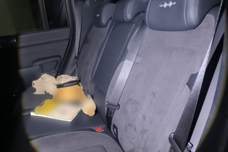 Used Formula Leopard 5 2023 Cloud Ride Flagship Edition Left Rear Seat