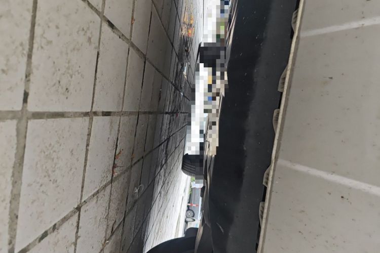 Used Formula Leopard 5 2023 Navigator Edition Chassis Front