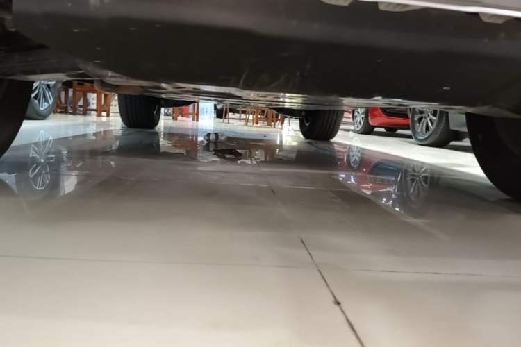 Used Formula Leopard 5 2023 Navigator Edition Chassis Front