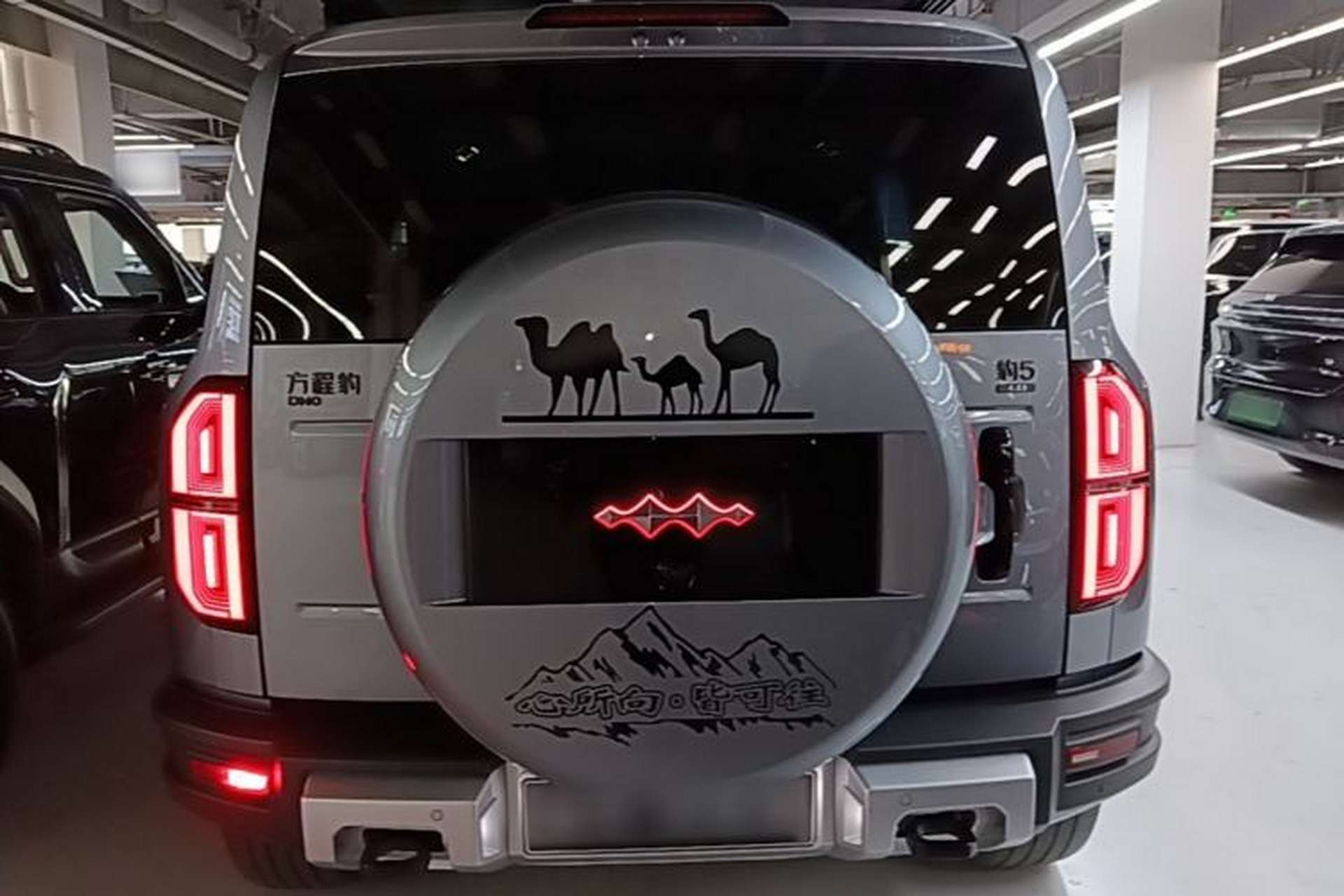 Used Formula Leopard 5 2023 Navigator Edition Rear