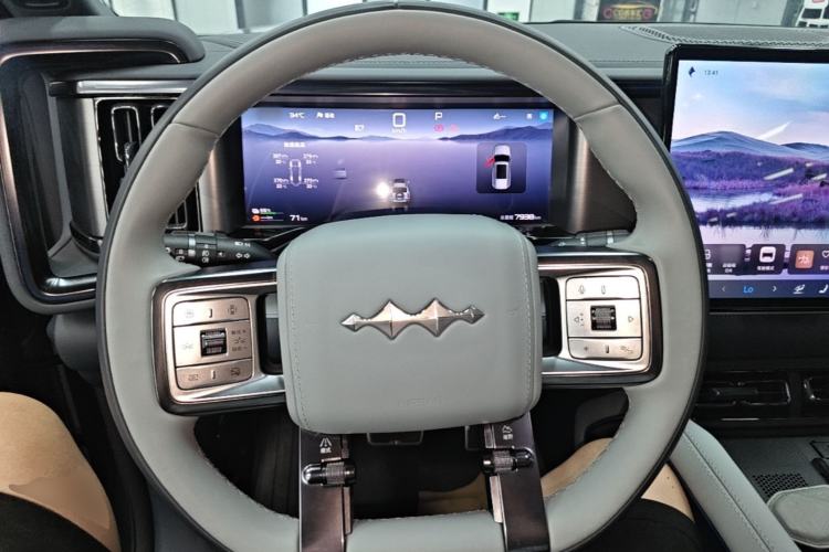 Used Formula Leopard 5 2023 Explore Edition Steering Wheel