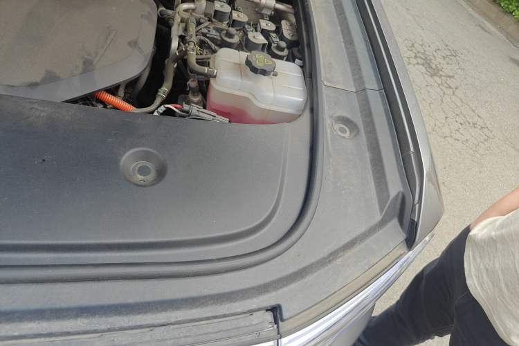 Used Formula Leopard 5 2023 Navigator Edition Engine Bay Left