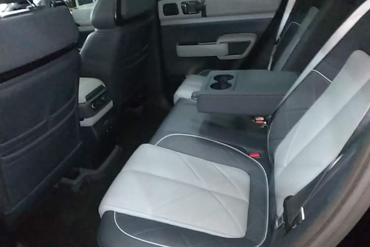 Used Formula Leopard 5 2025 TianShen Intelligent Driving Max Edition Left Rear Seat