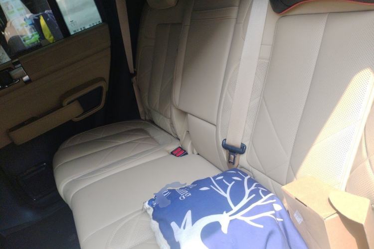 Used Formula Leopard 5 2025 TianShen Intelligent Driving Ultra Edition Left Rear Seat