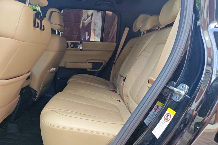 Used Formula Leopard 5 2025 TianShen Intelligent Driving Ultra Edition Left Rear Seat
