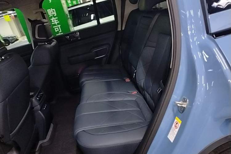 Used Formula Leopard 5 2025 TianShen Intelligent Driving Ultra Edition Left Rear Seat