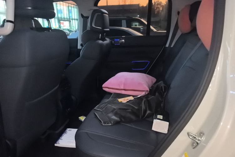 Used Formula Leopard 5 2025 TianShen Intelligent Driving Ultra Edition Left Rear Seat