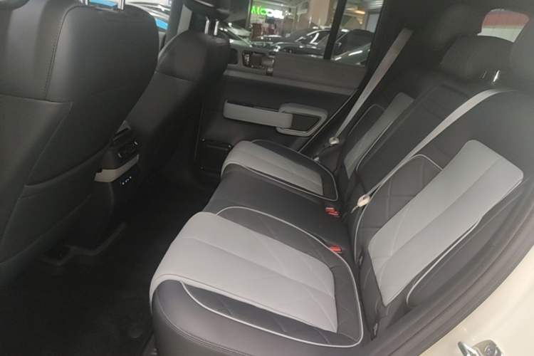 Used Formula Leopard 5 2025 TianShen Intelligent Driving Ultra Edition Left Rear Seat