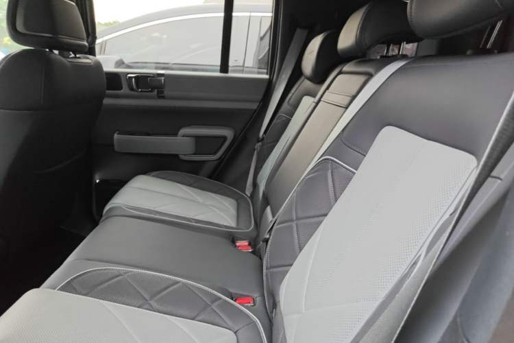 Used Formula Leopard 5 2025 TianShen Intelligent Driving Ultra Edition Left Rear Seat