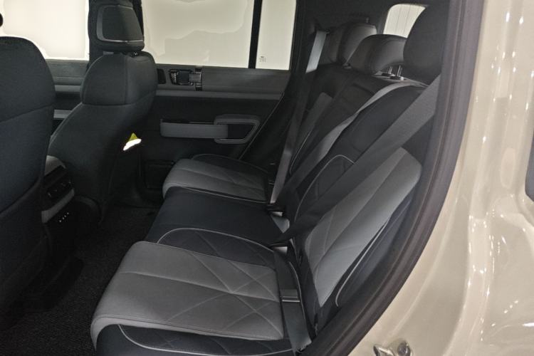 Used Formula Leopard 5 2025 TianShen Intelligent Driving Ultra Edition Left Rear Seat