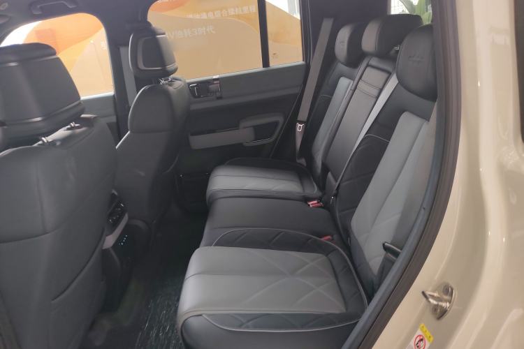 Used Formula Leopard 5 2025 TianShen Intelligent Driving Ultra Edition Left Rear Seat