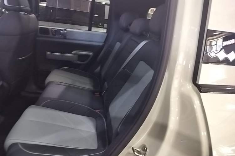 Used Formula Leopard 5 2025 TianShen Intelligent Driving Ultra Edition Left Rear Seat