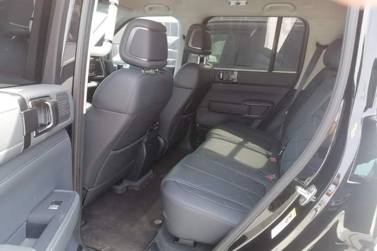 Used Formula Leopard 5 2025 TianShen Intelligent Driving Ultra Edition Left Rear Seat