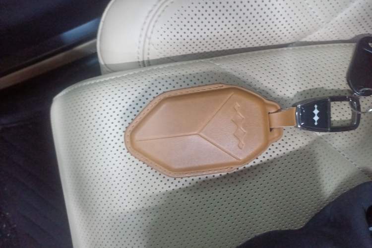 Used Formula Leopard 8 2025 Smart & Brave Flagship Edition 7 Seats Interior 1