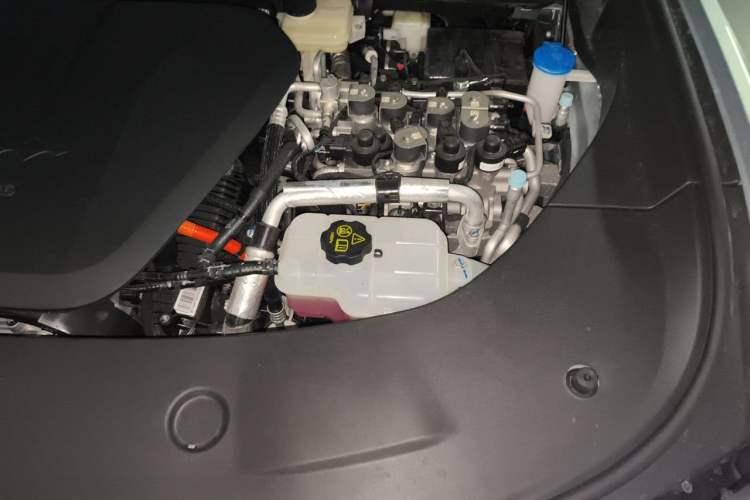 Used Formula Leopard 8 2025 Model Smart & Brave Flagship 5-Seater Engine Bay Left